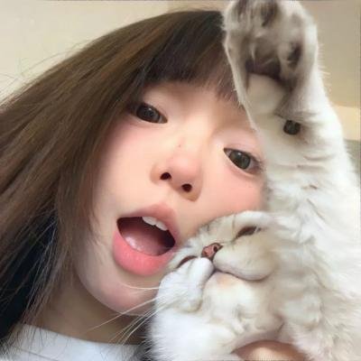 天使的堕落海报